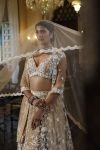 Nude Lehenga with Choli and Dupatta